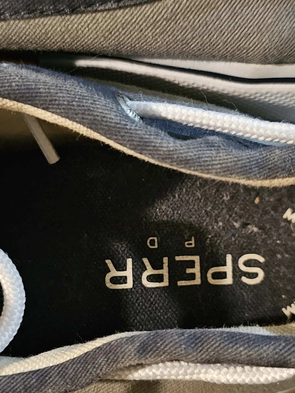 Sperry Classic Boat Shoe in Gray and Navy with White Laces